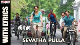 Sevatha Pulla Song Lyrics